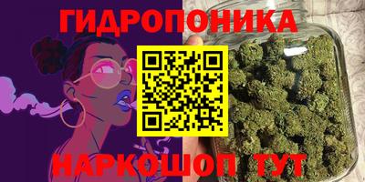 дурь Гусев