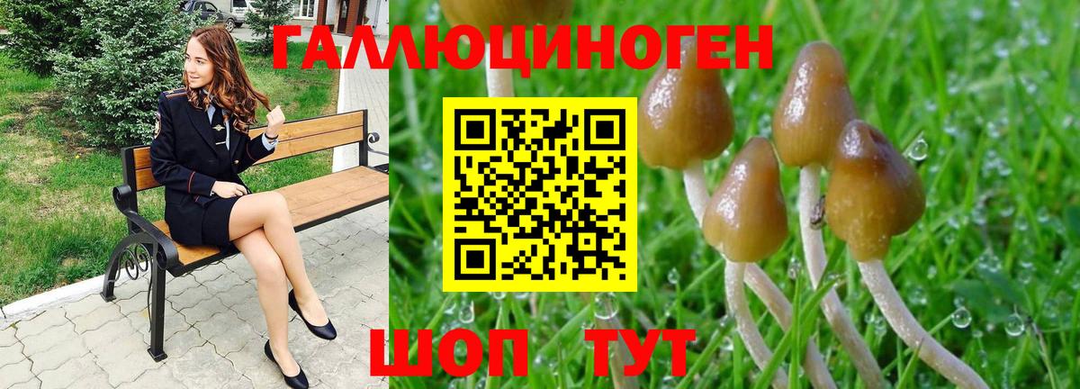 Псилоцибиновые грибы MAGIC MUSHROOMS  купить  сайты  Нижний Тагил  Вход с VPN 