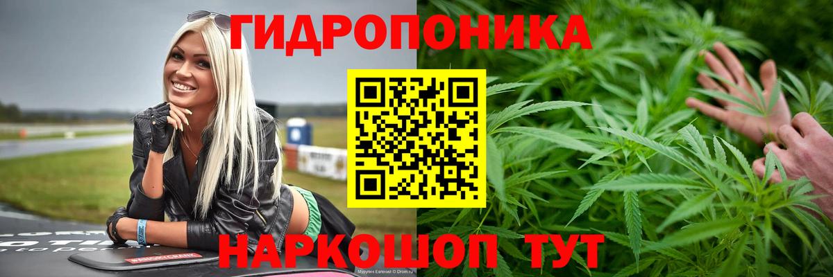 Нижний Тагил  Марихуана Bruce Banner  Каннабис марихуана  Бошки марихуана марихуана  Вход с VPN 